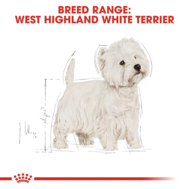 Royal Canin West Highland White Terrier Adult Dry Dog Food - Image 4