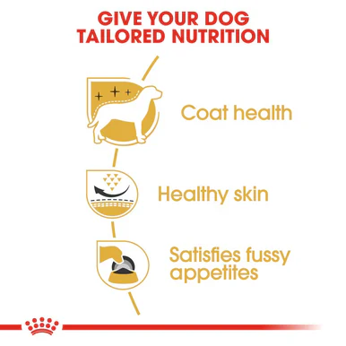 Royal Canin West Highland White Terrier Adult Dry Dog Food - Image 5