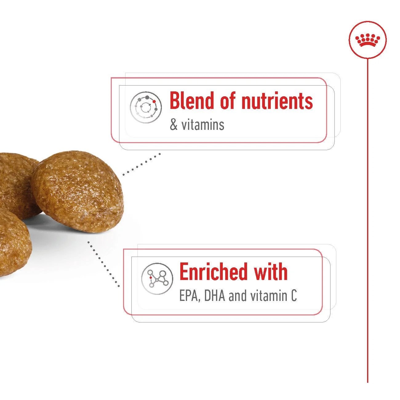 Royal Canin X-Small Adult 8+ Dry Dog Food - Image 3