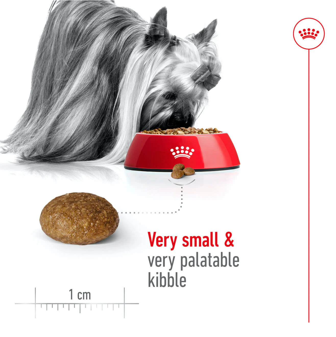 Royal Canin X-Small Adult 8+ Dry Dog Food - Image 4