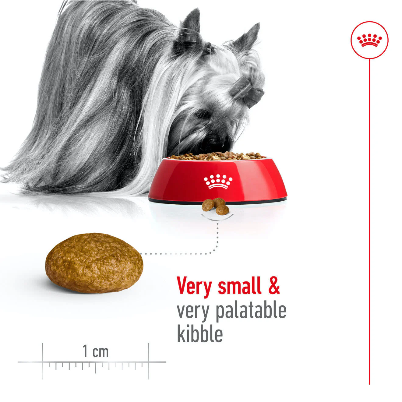 Royal Canin X-Small Adult Dry Dog Food - Image 3