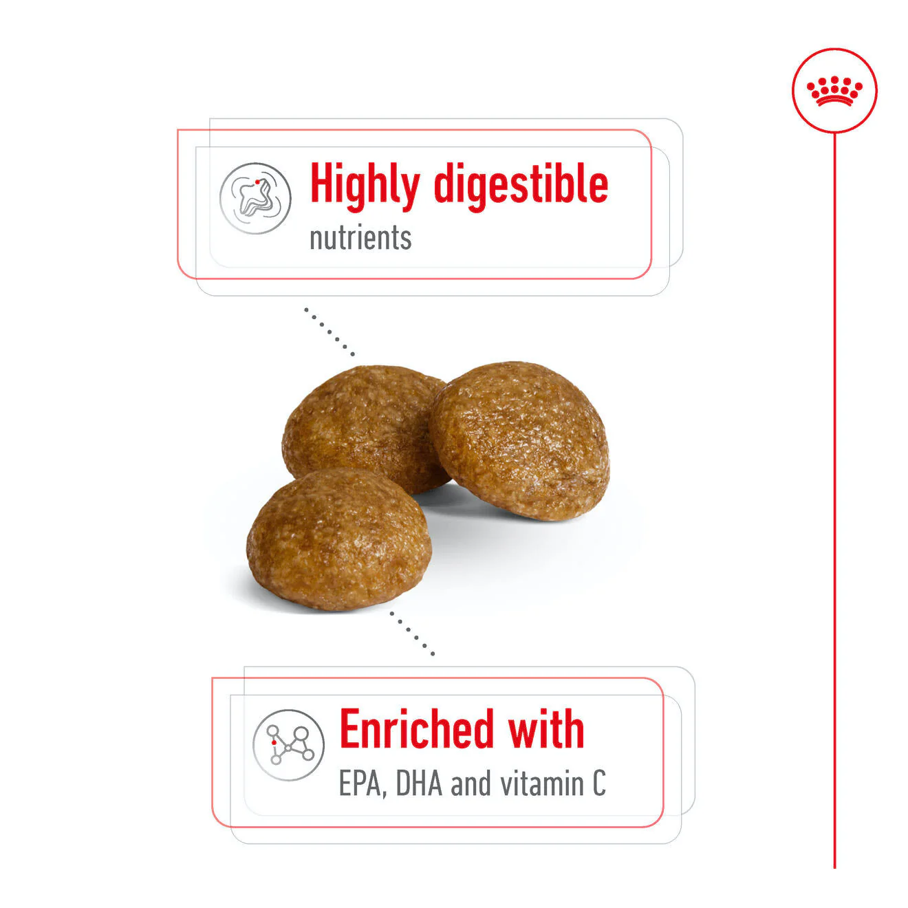 Royal Canin X-Small Adult Dry Dog Food - Image 4
