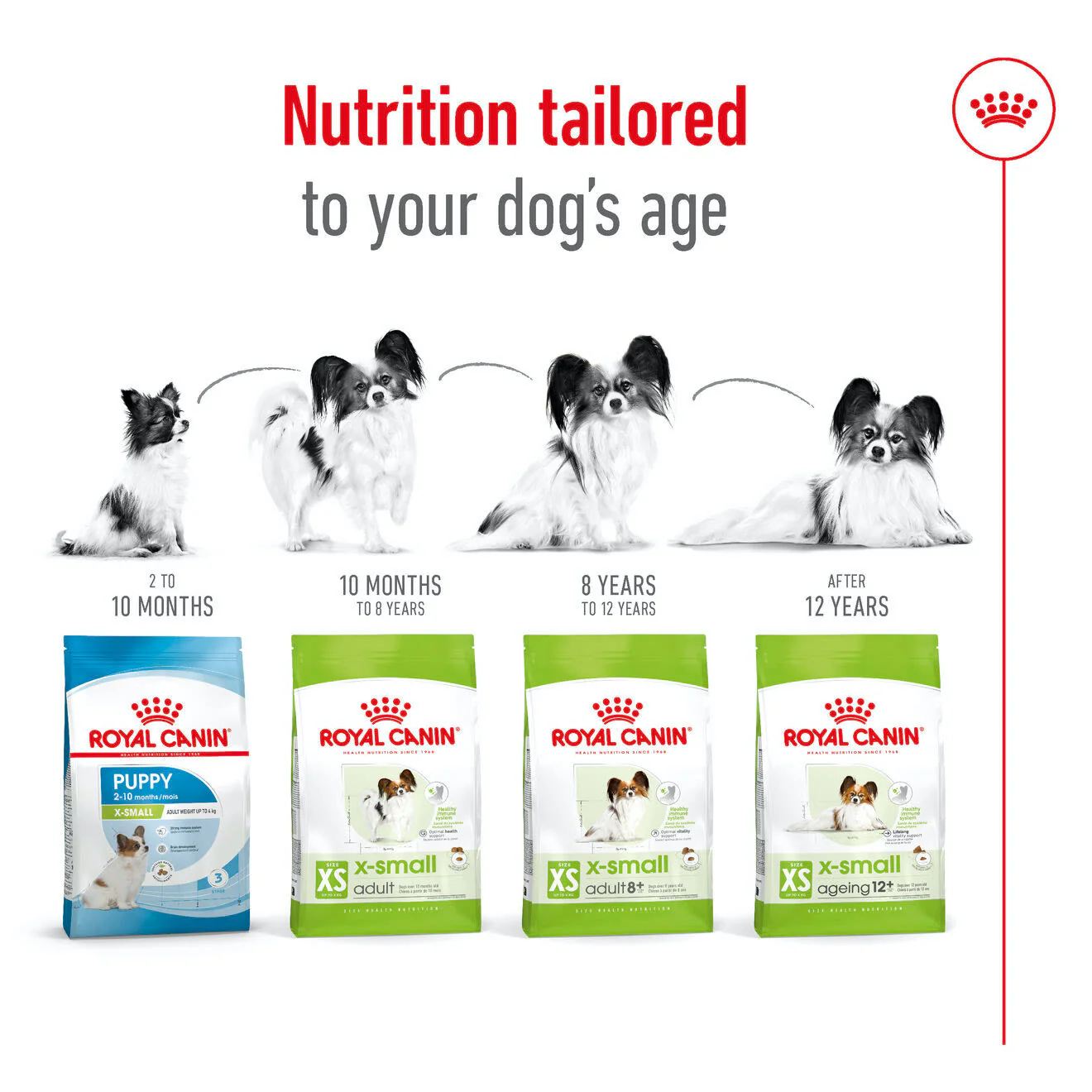 Royal Canin X-Small Adult Dry Dog Food - Image 8