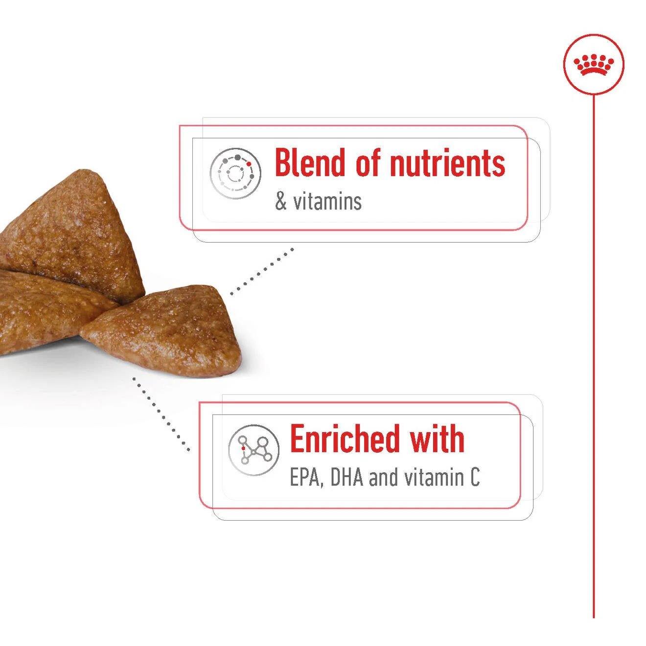 Royal Canin X-Small Ageing 12+ Dry Dog Food - Image 3