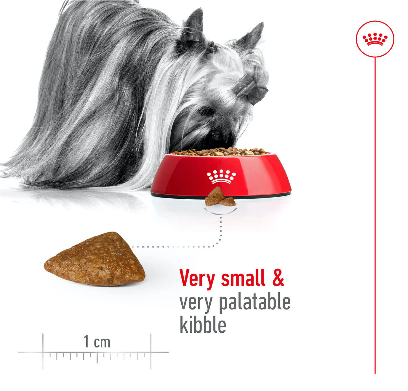 Royal Canin X-Small Ageing 12+ Dry Dog Food - Image 4