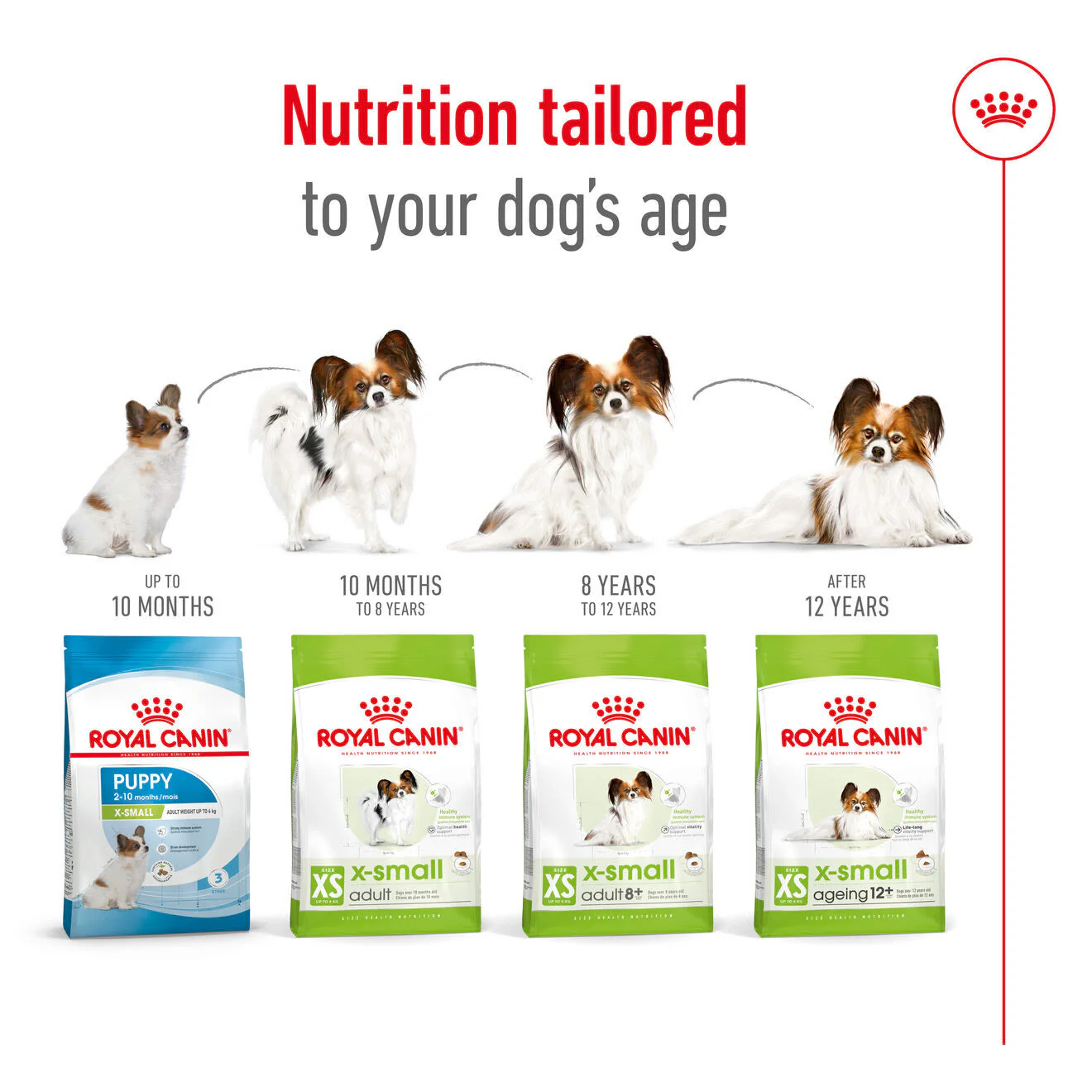 Royal Canin X-Small Ageing 12+ Dry Dog Food - Image 7