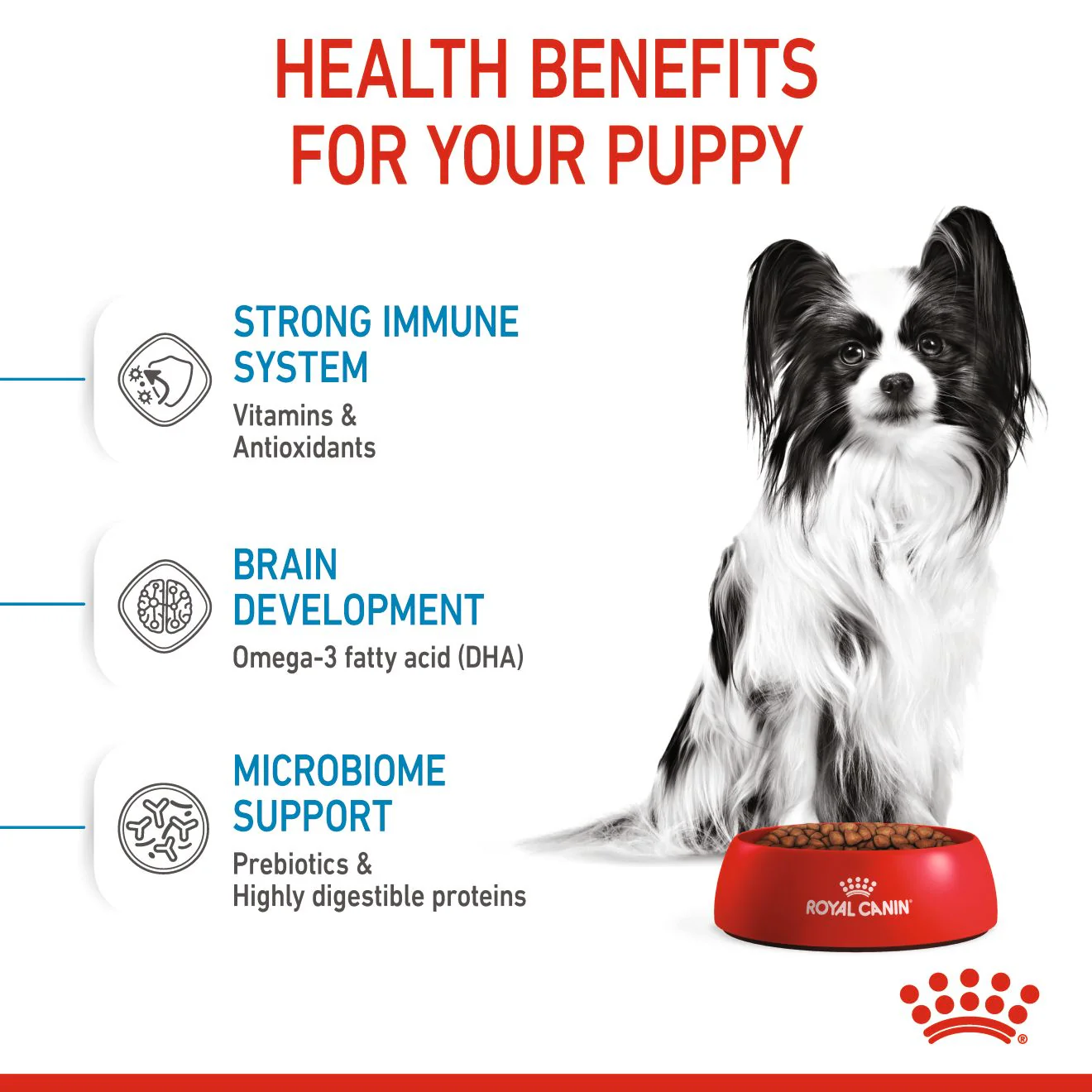 Royal Canin X-Small Puppy - Image 4