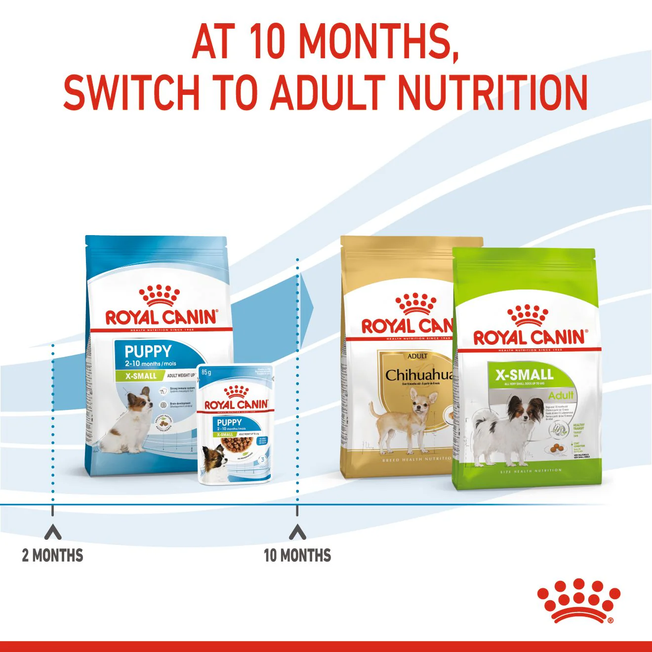Royal Canin X-Small Puppy - Image 6