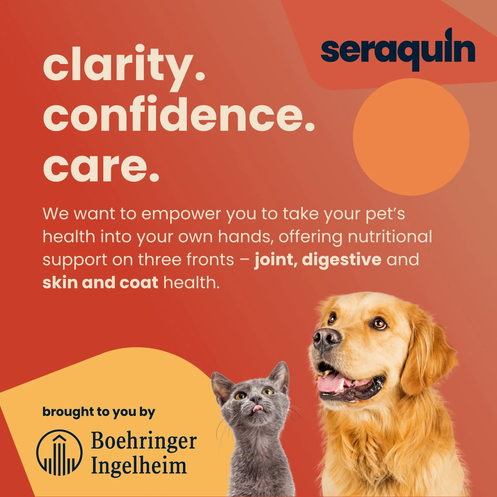 Seraquin Joint 800mg Tablets for Cats & Dogs under 10kg - Image 7
