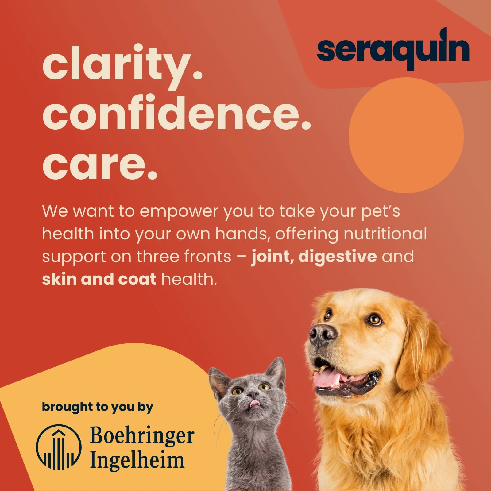 Seraquin Skin & Coat for Cats & Dogs - Pump Bottle - Image 7