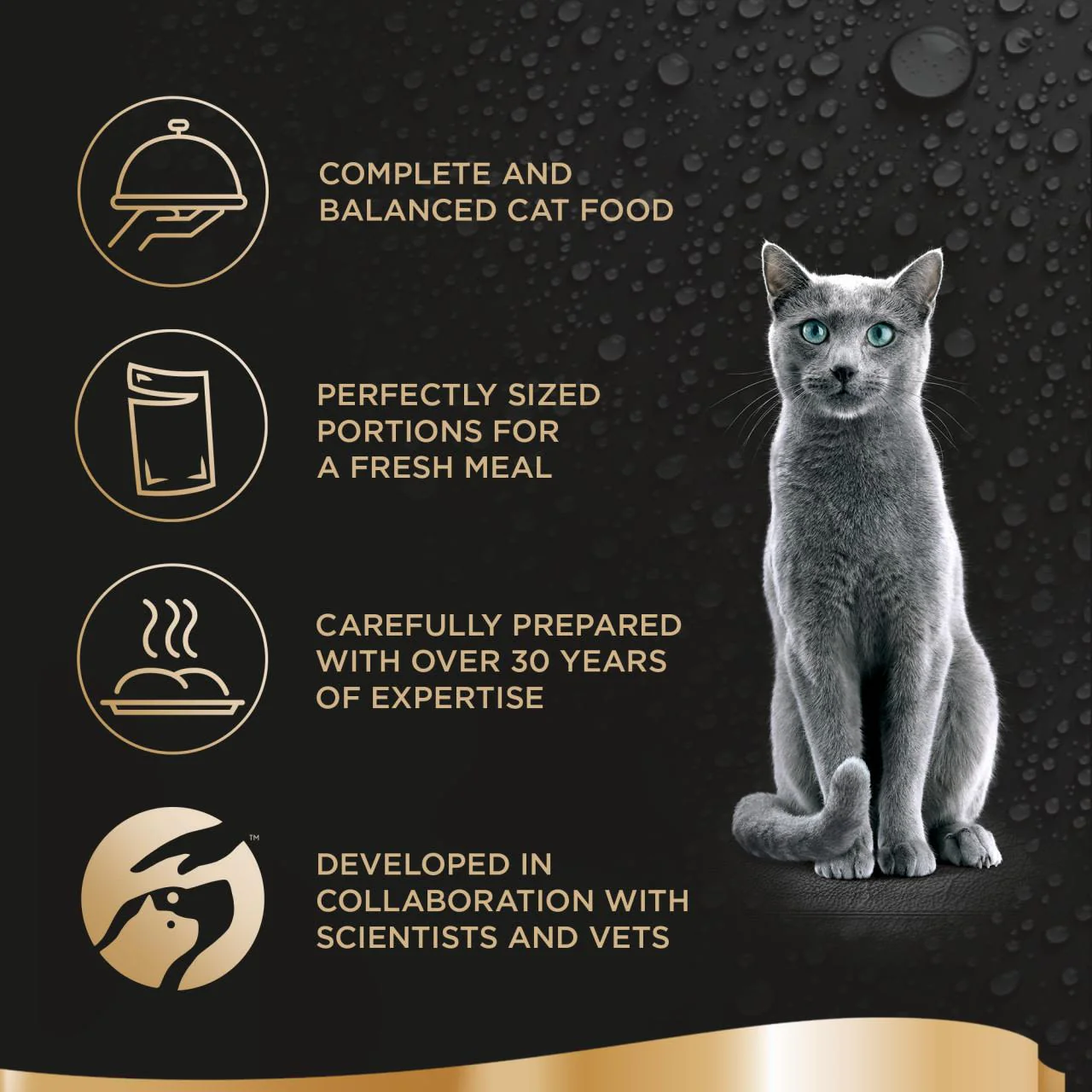 Sheba Fresh & Fine Wet Cat Food Pouches Chicken & Turkey in Jelly - Image 4