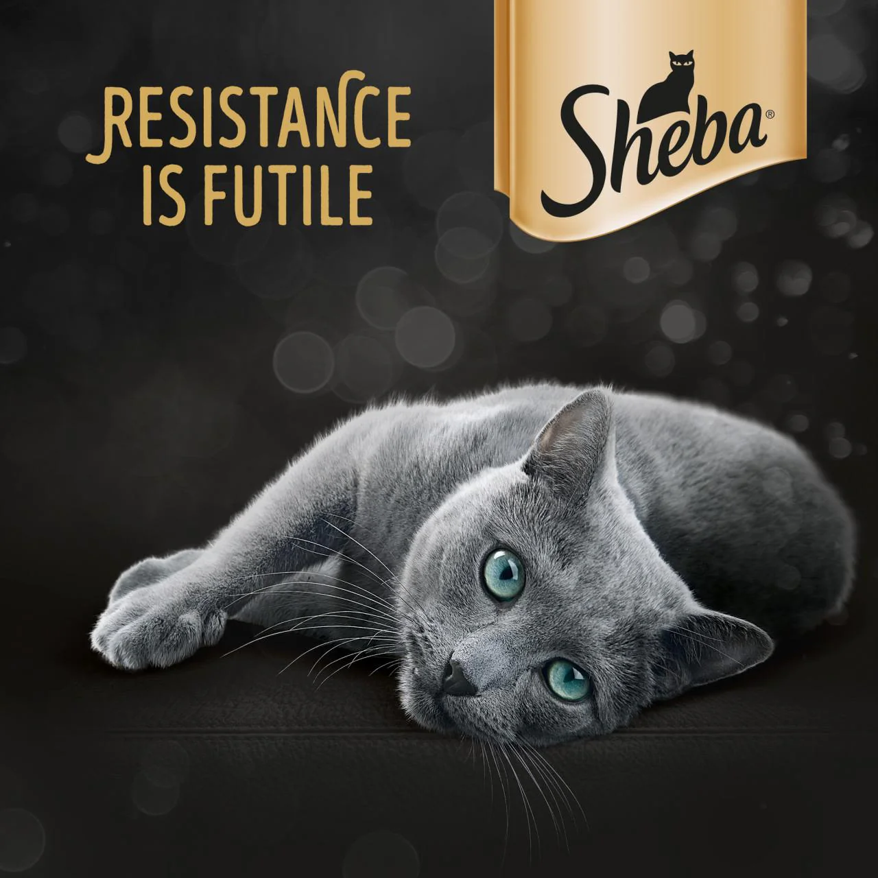 Sheba Fresh & Fine Wet Cat Food Pouches Fish in Gravy - Image 5