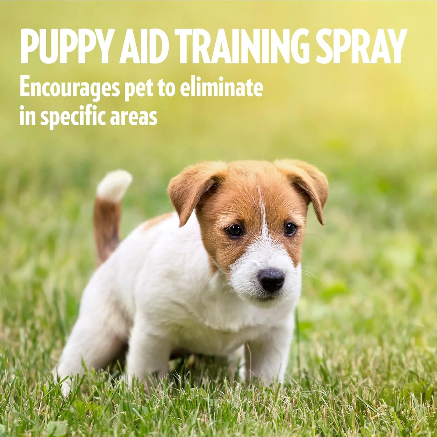 Simple Solution Puppy Training Aid Spray - Image 3