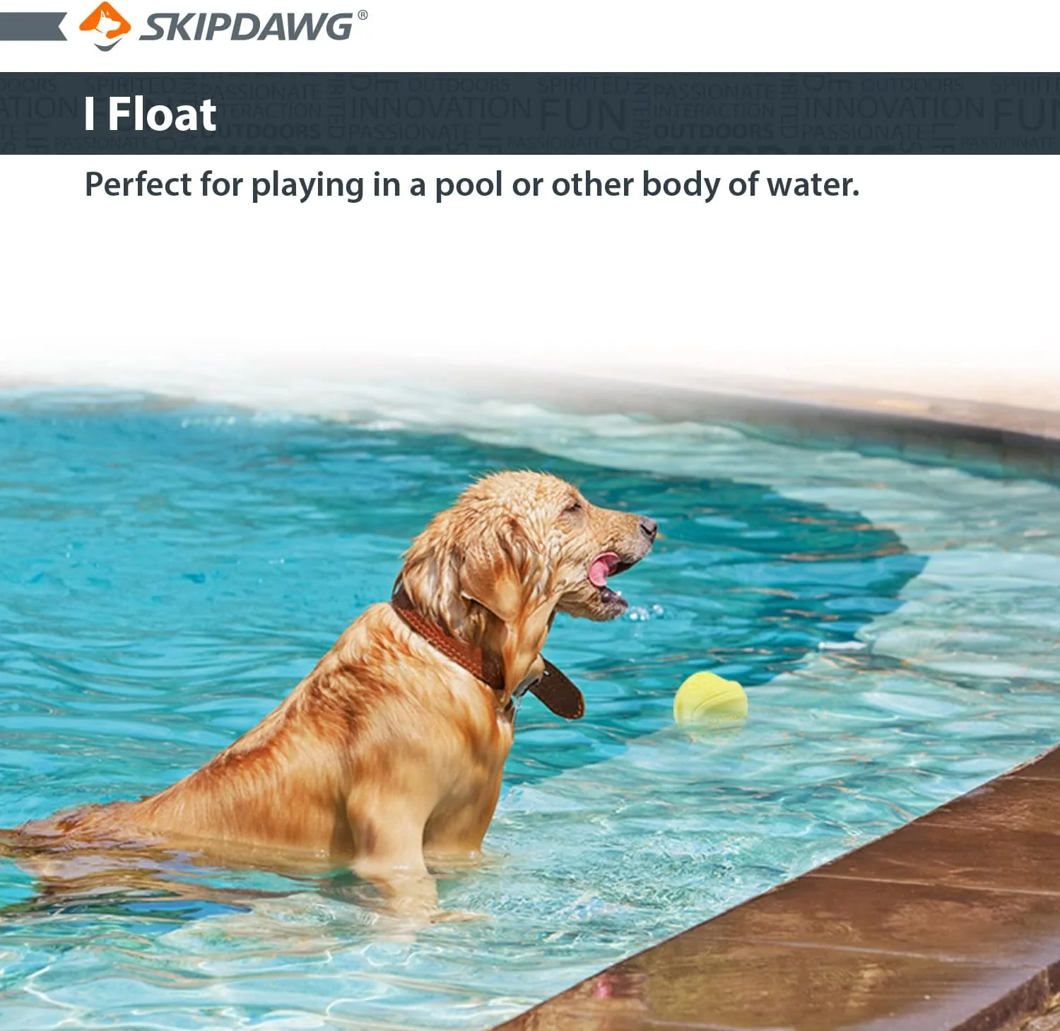 Skipdawg Agility Ball for Dogs 2 Pack - Image 4