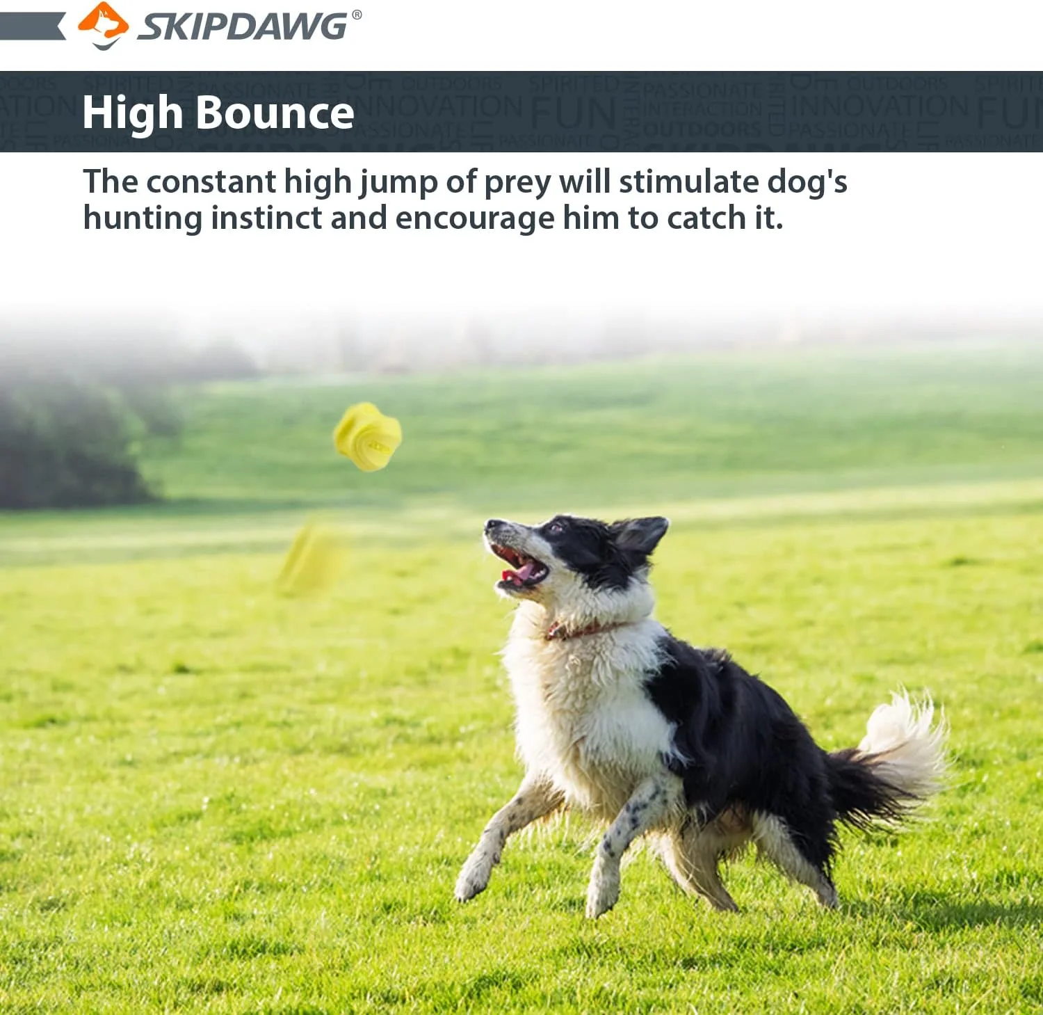 Skipdawg Agility Ball for Dogs 2 Pack - Image 5