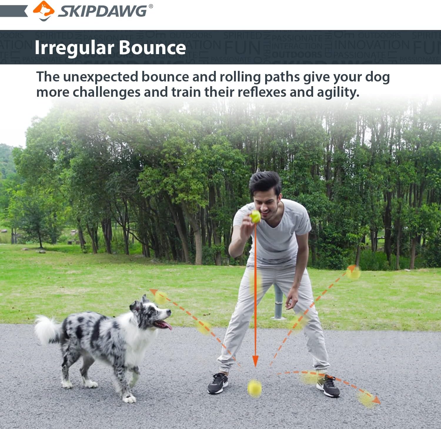 Skipdawg Agility Ball for Dogs 2 Pack - Image 6