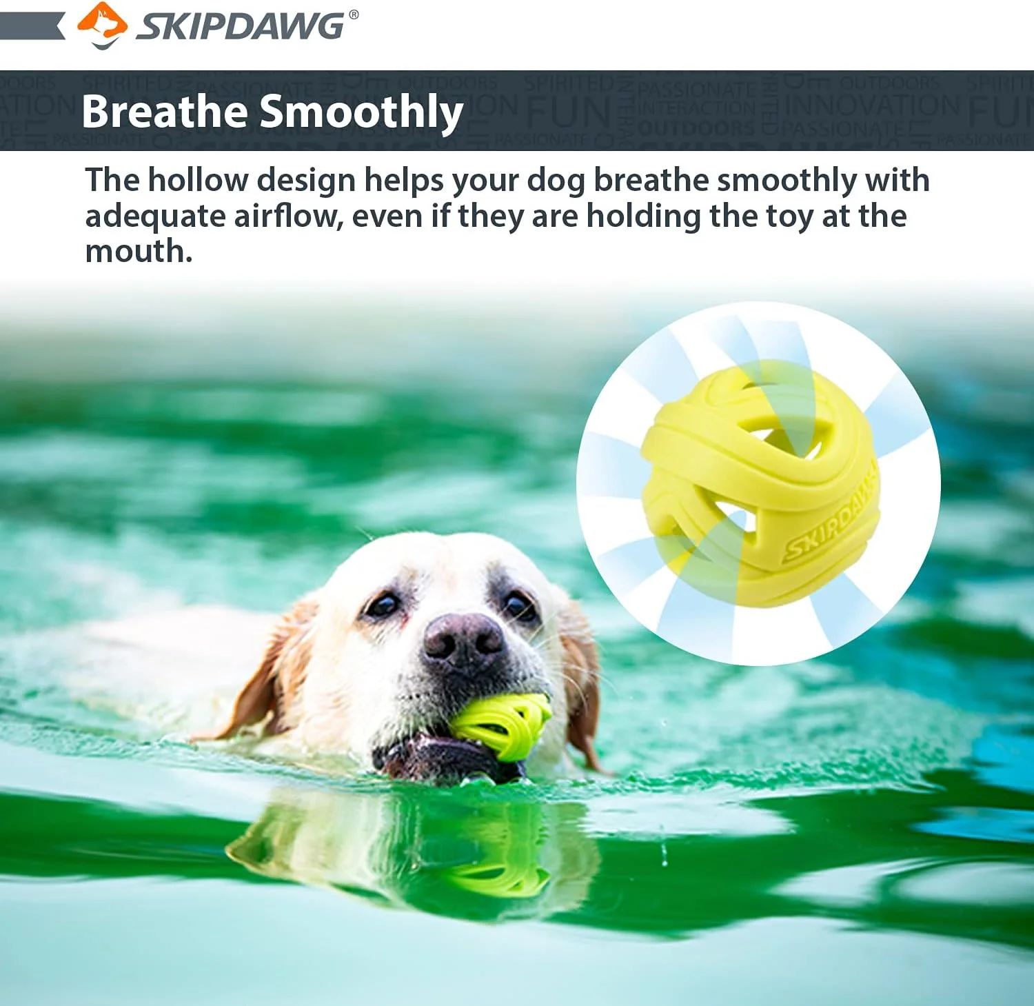 Skipdawg Breezy Ball for Dogs 2 Pack - Image 5