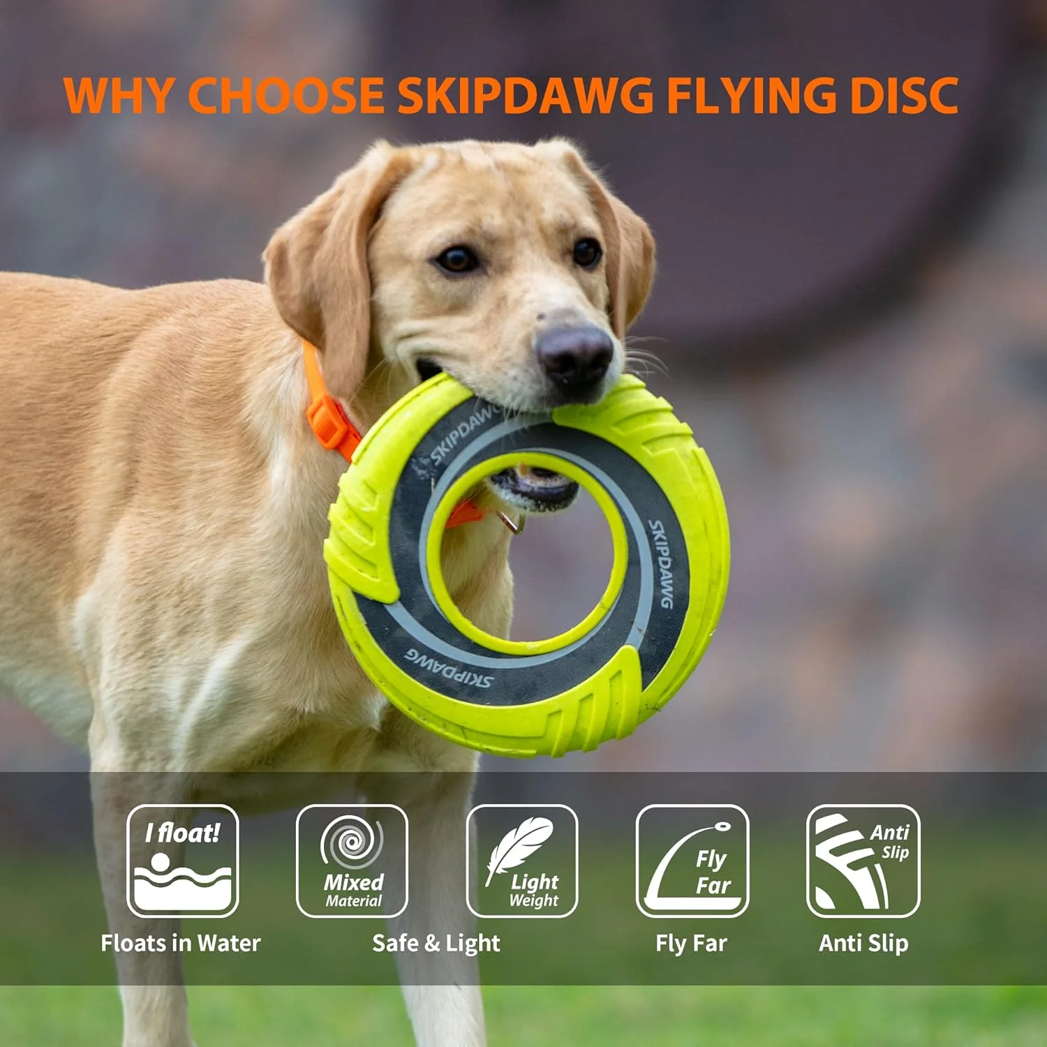 Skipdawg Original Duroflex Disc for Dogs - Image 4