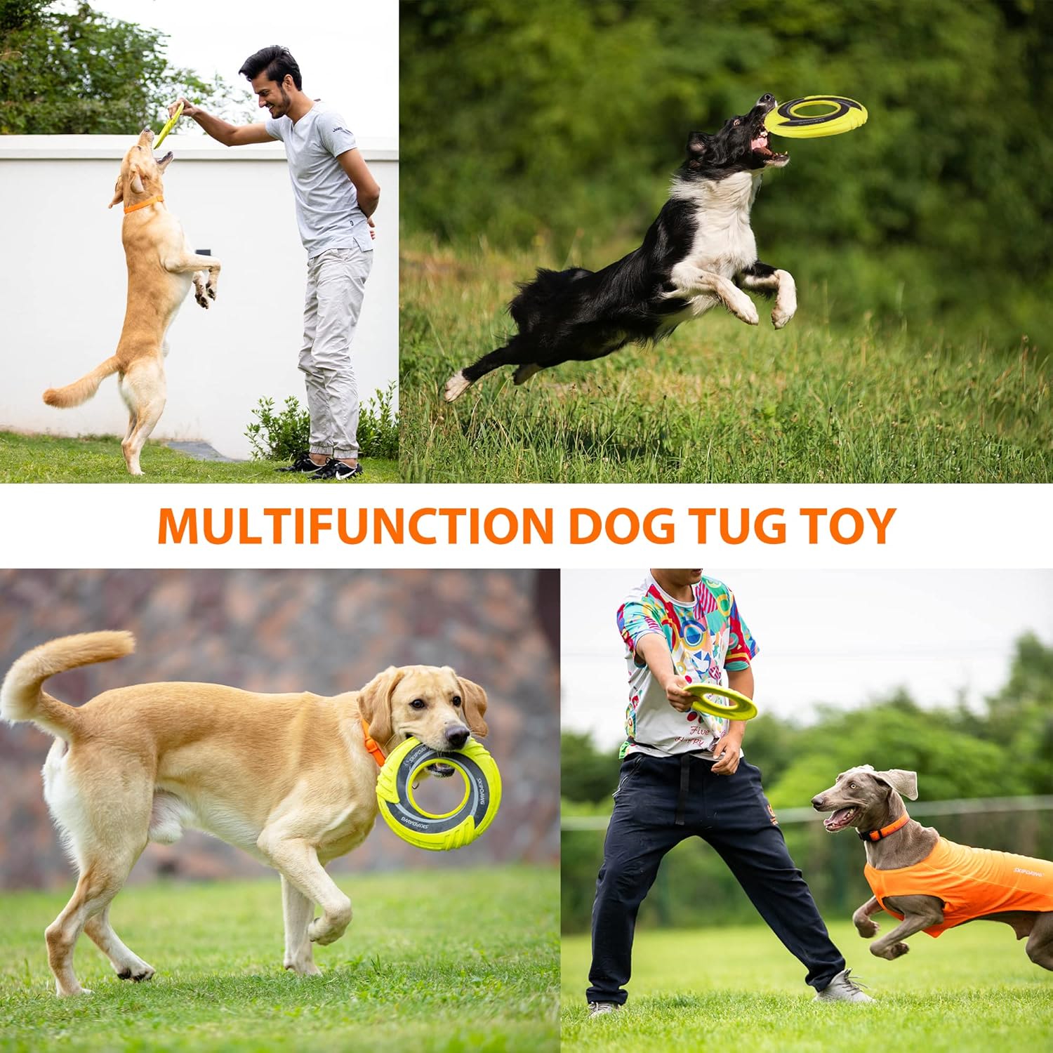 Skipdawg Original Duroflex Disc for Dogs - Image 5