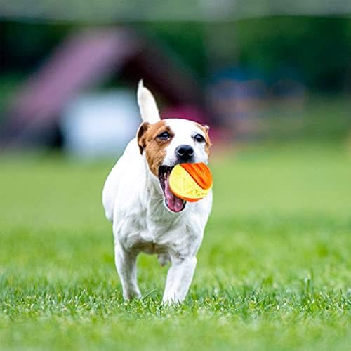 Skipdawg Xfoam Ball for Dogs - Image 3
