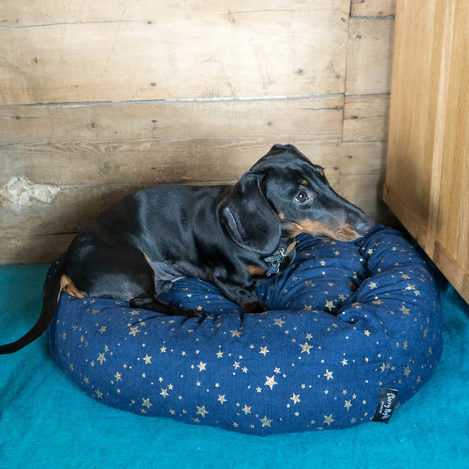 Starry Nights Star Navy Donut Dog Bed - Image 3