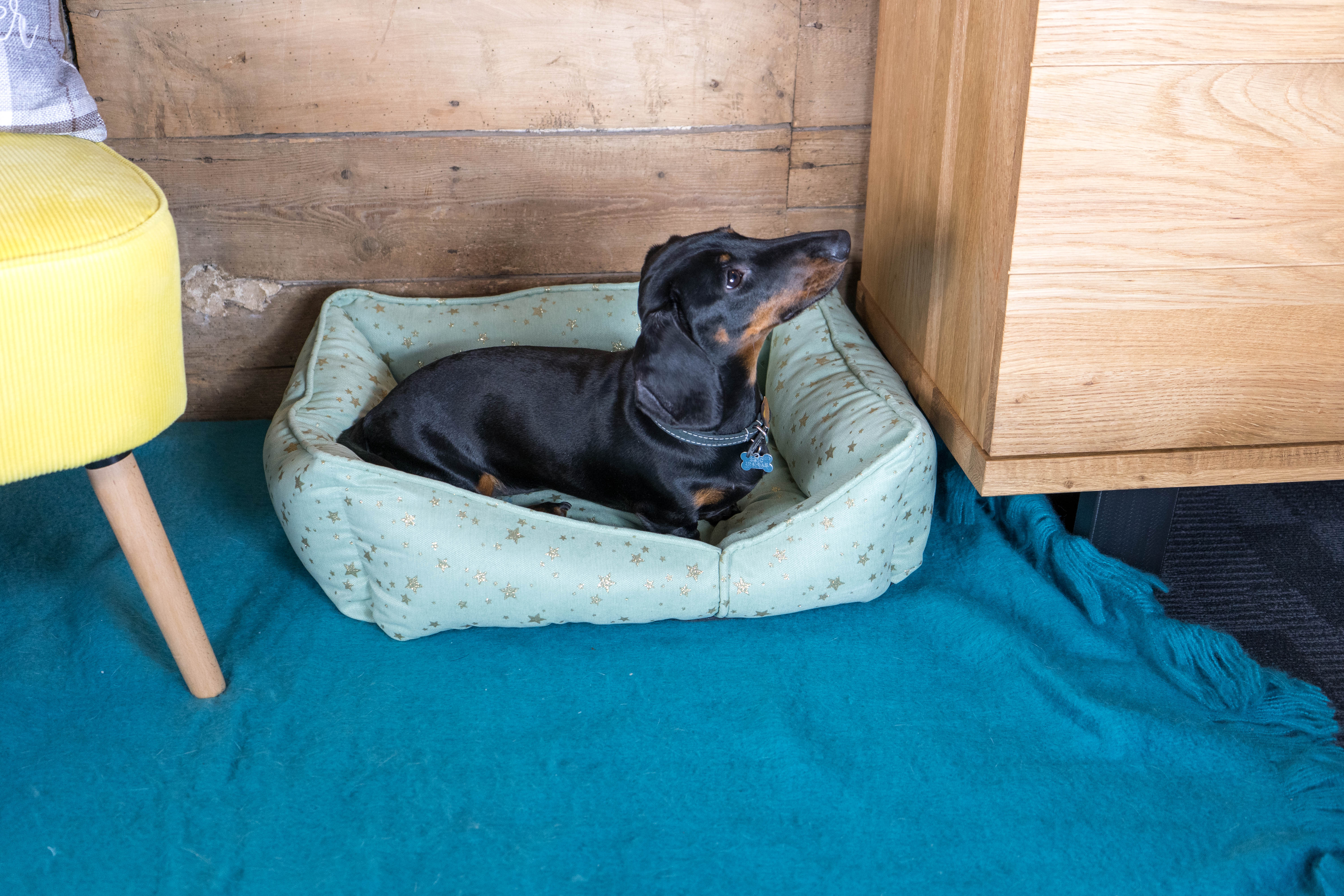 Starry Nights Star Sofa Dog Bed - Mint - Image 4