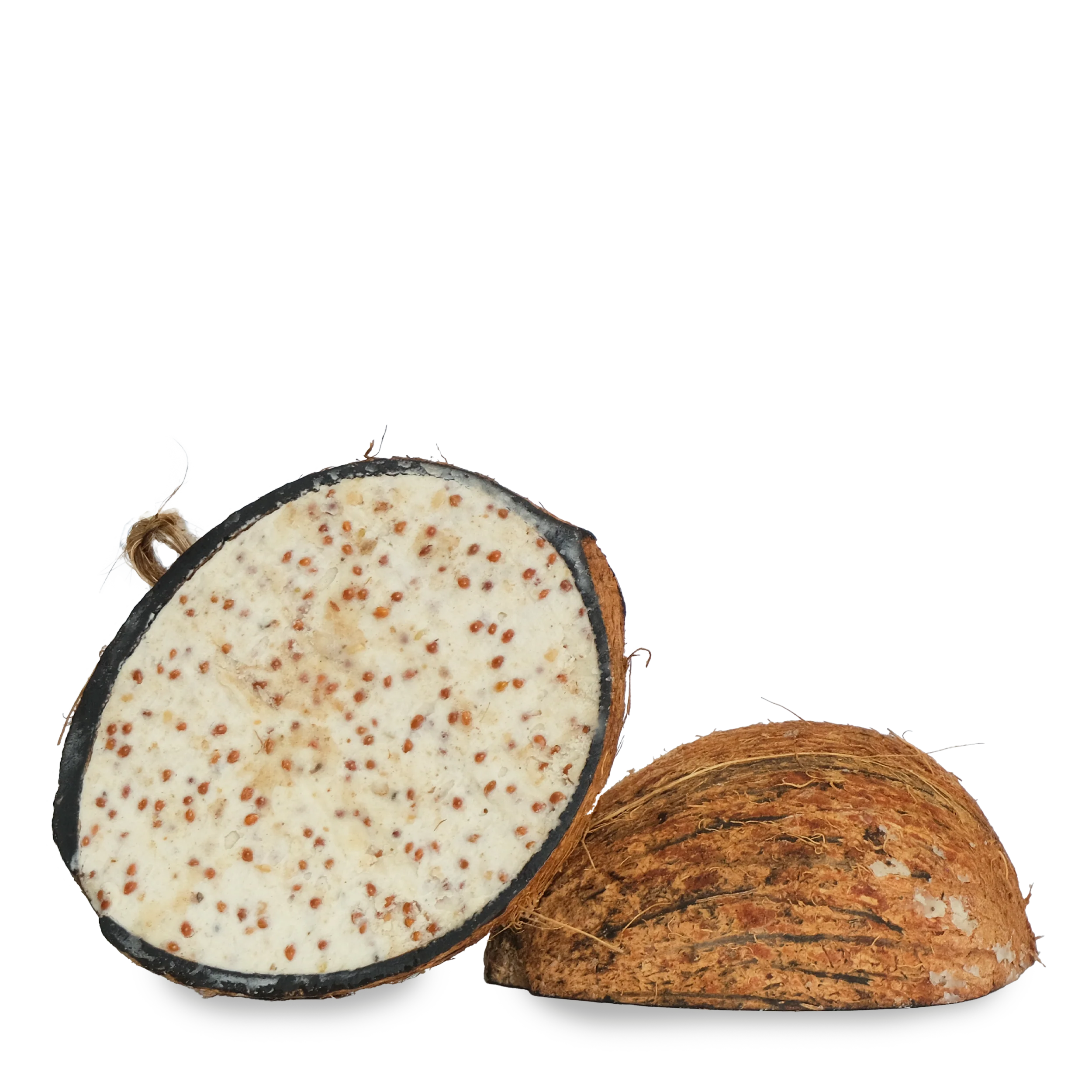 Suet to Go Half Coconut Natural Wild Bird Feeder with Mealworm - Image 2