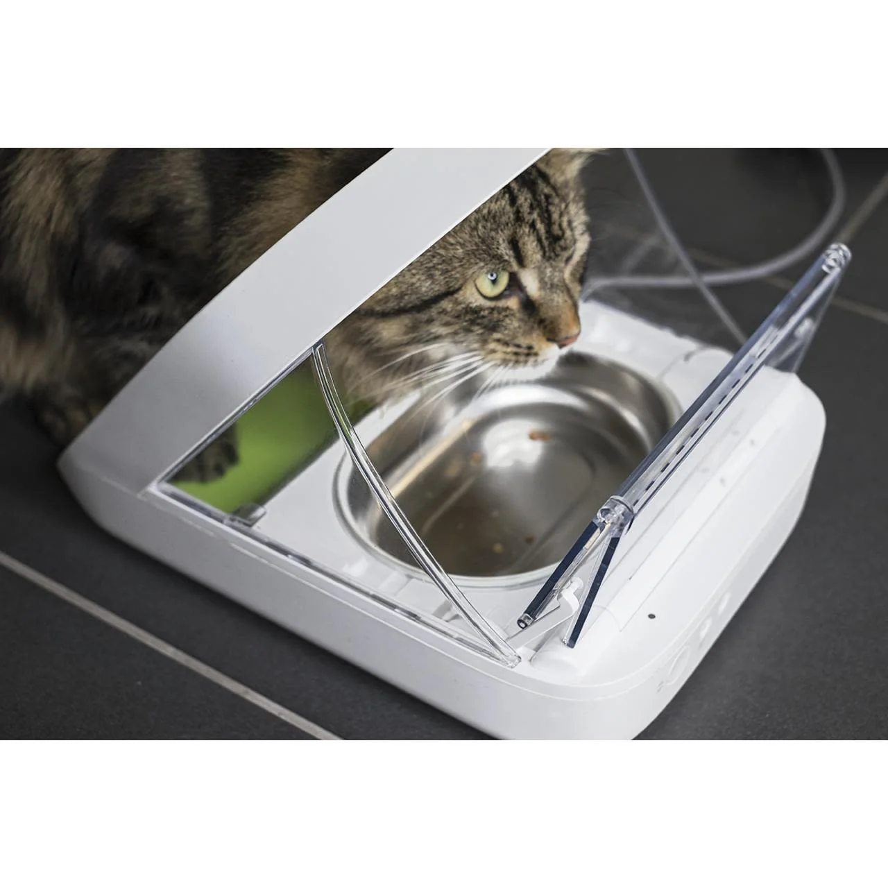 SureFeed Stainless Steel Pet Bowl Set - Image 2