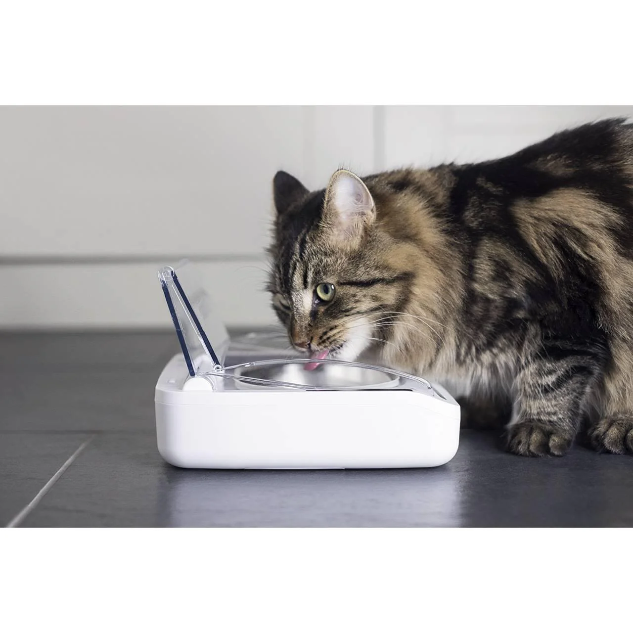 SureFeed Stainless Steel Pet Bowl Set - Image 3