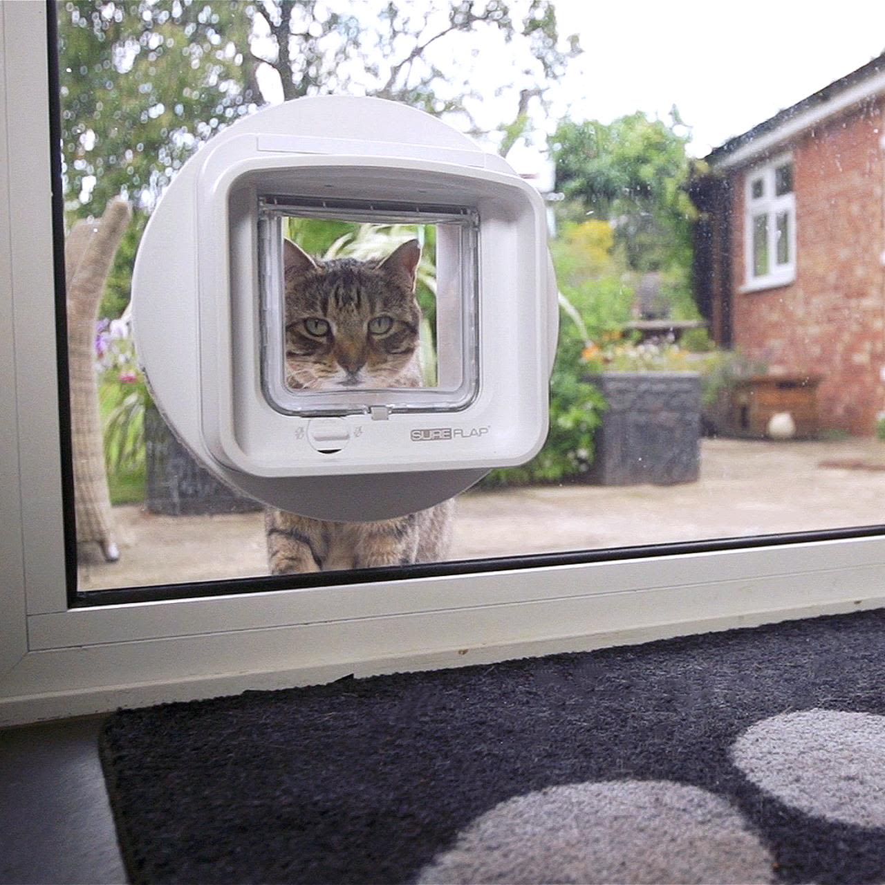 SureFlap Dualscan Microchip Cat Flap - Image 6