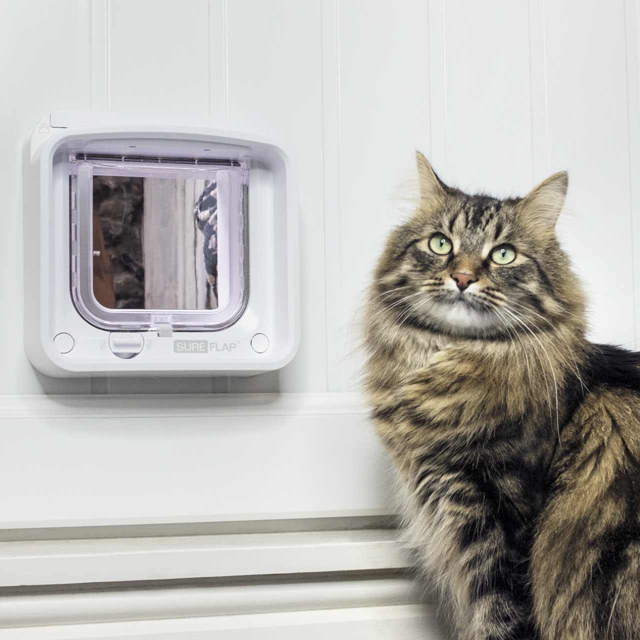 SureFlap Microchip Cat Flap Connect - Image 3