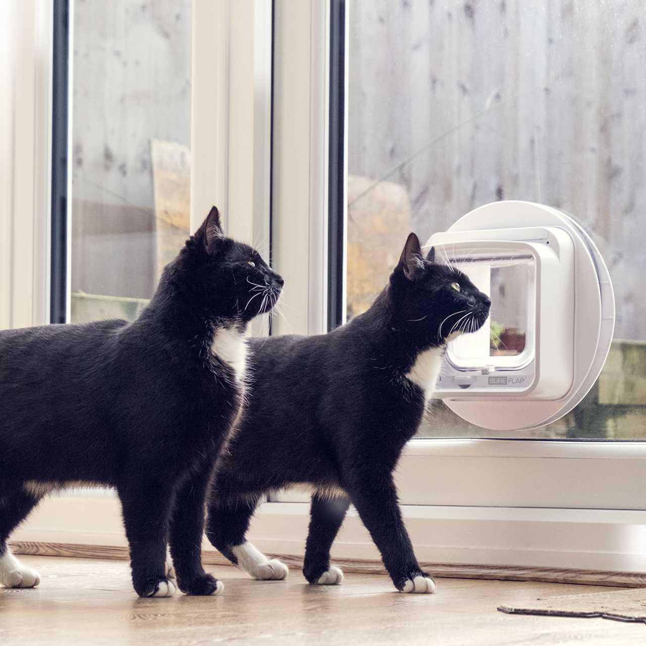SureFlap Microchip Cat Flap Connect - Image 4
