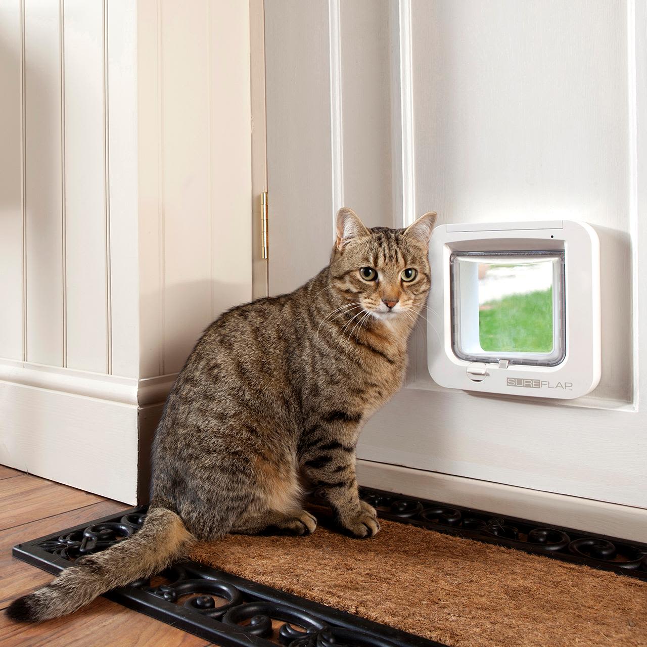 Sureflap Microchip Cat Flap - White - Image 5
