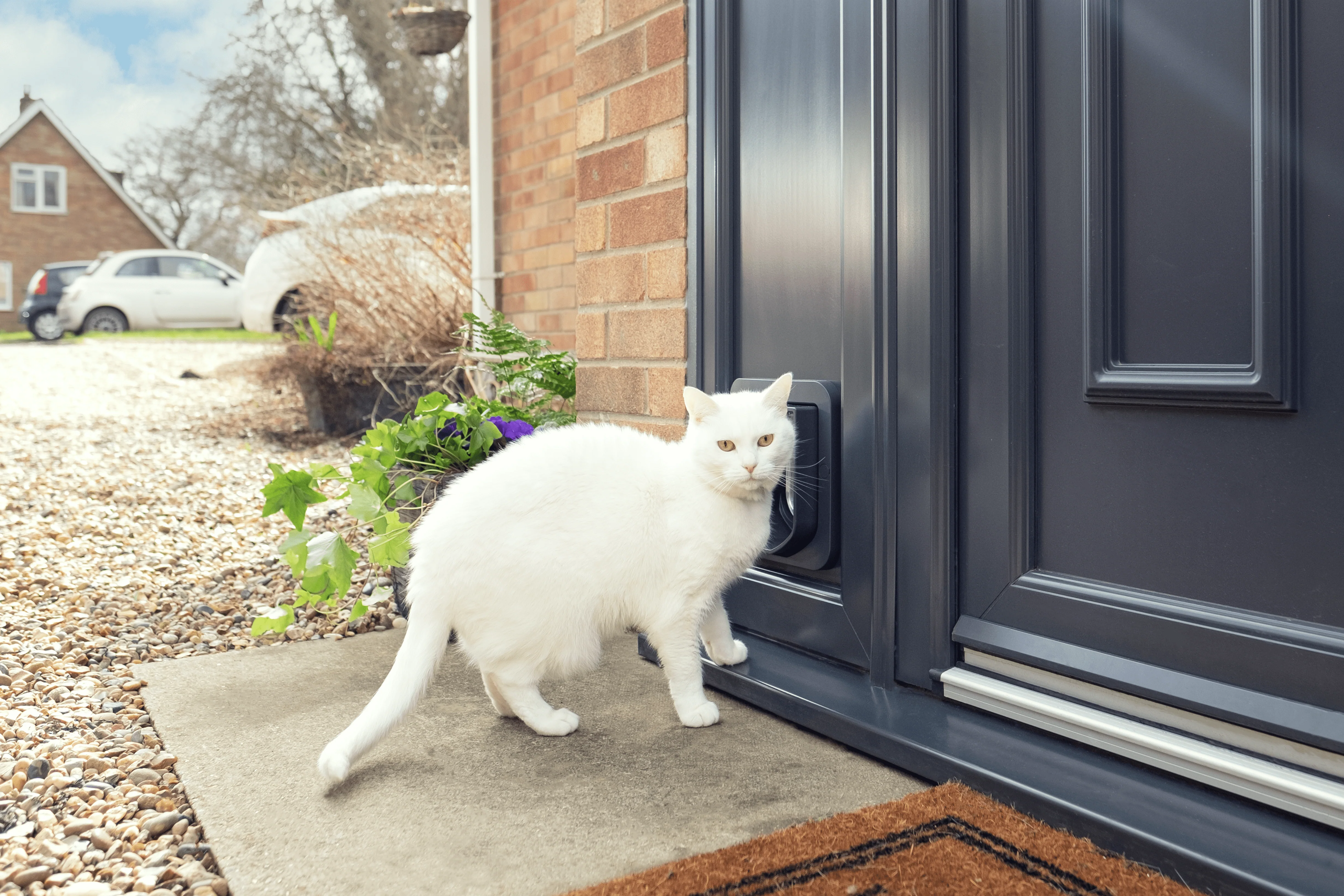 SureFlap Microchip Cat Flap - White/Grey - Image 2