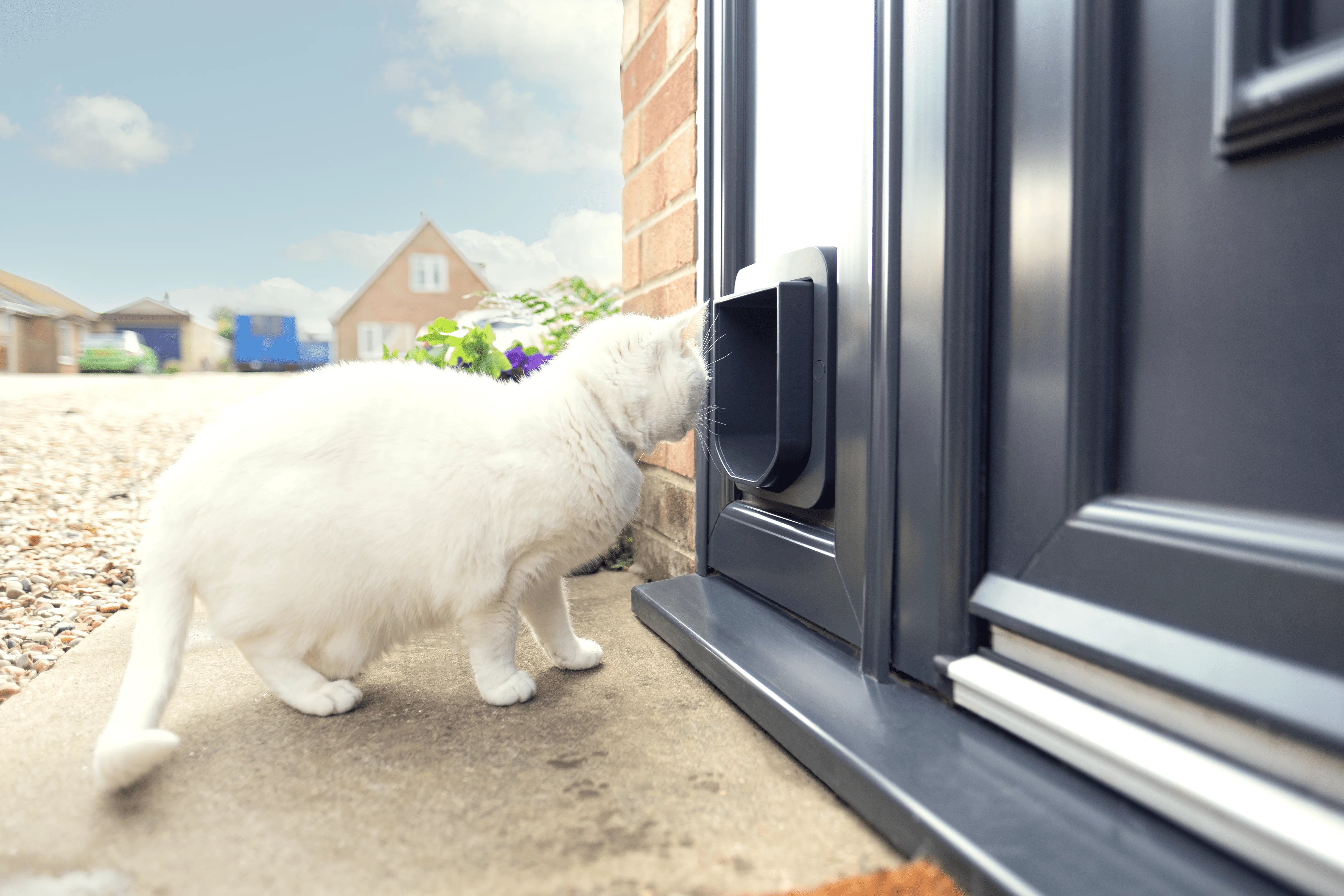 SureFlap Microchip Cat Flap - White/Grey - Image 3