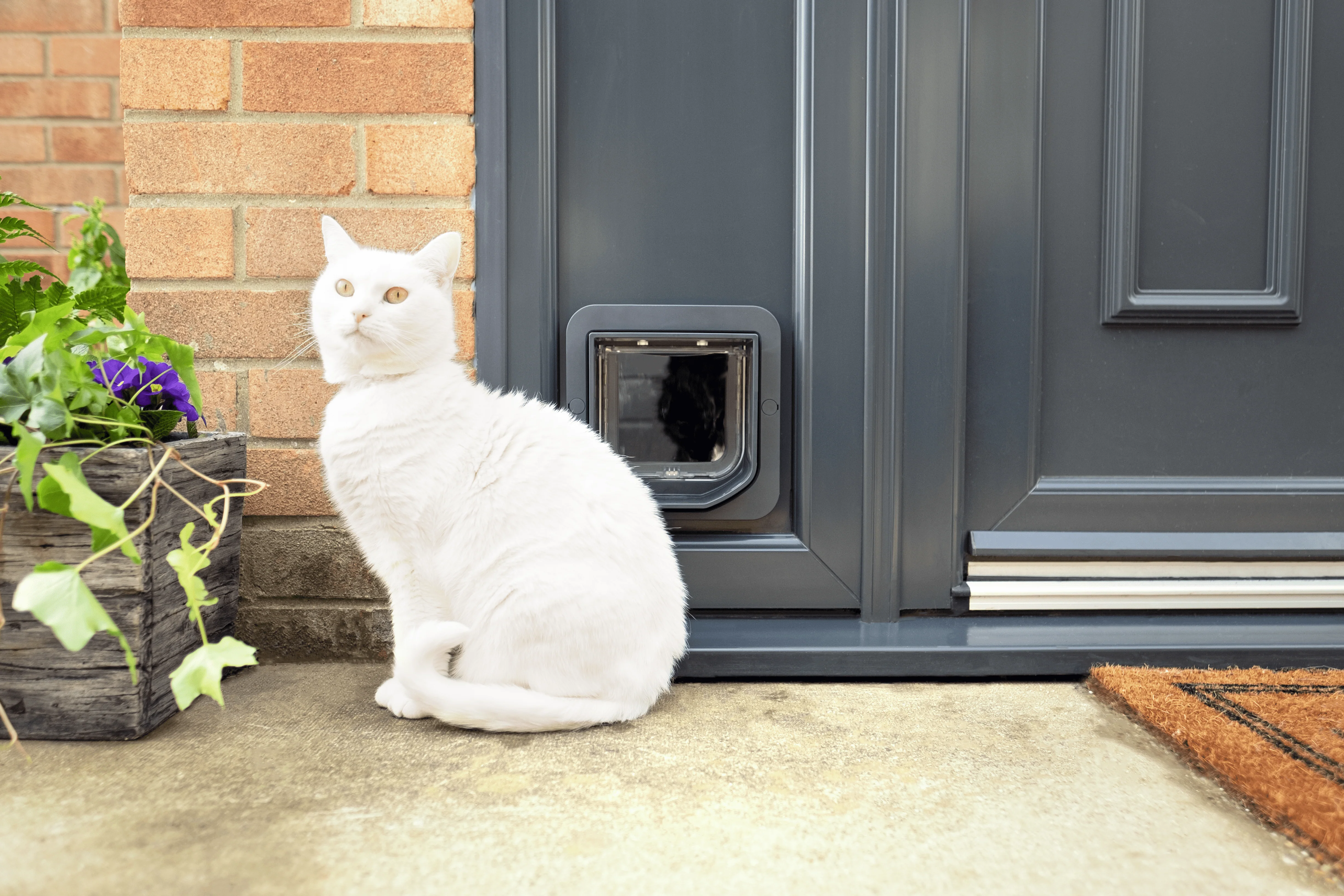 SureFlap Microchip Cat Flap - White/Grey - Image 4