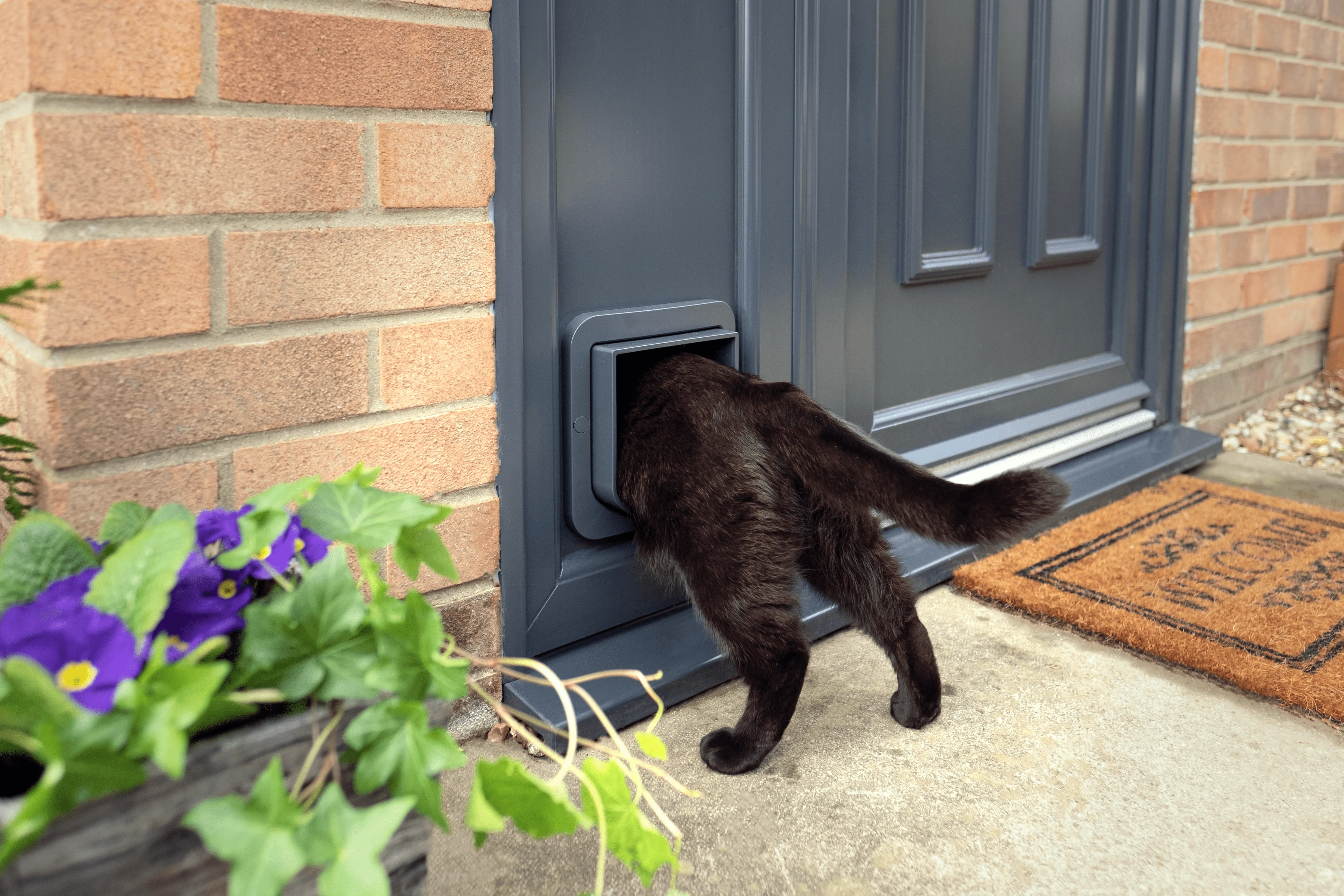 SureFlap Microchip Cat Flap - White/Grey - Image 5