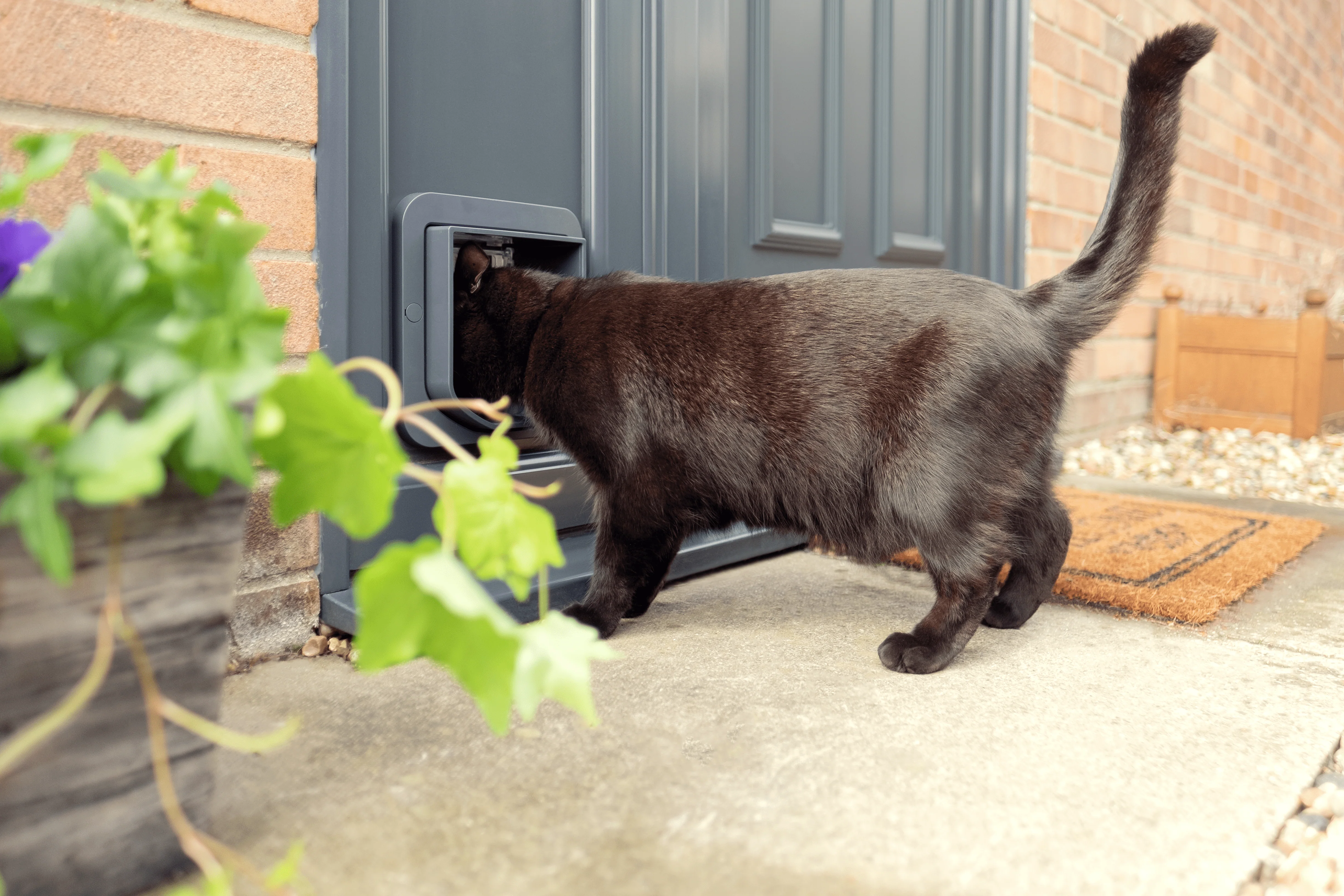 SureFlap Microchip Cat Flap - White/Grey - Image 6