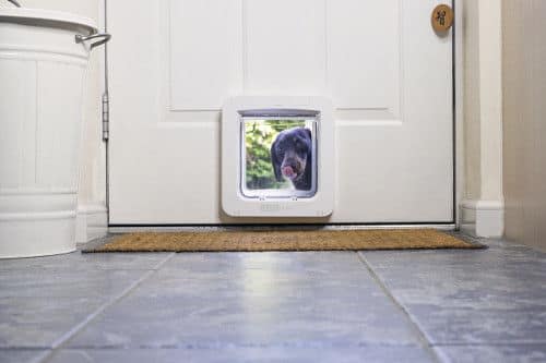 SureFlap Microchip Pet Door Connect with Wireless Hub - Image 2