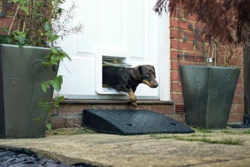 SureFlap Microchip Pet Door Connect with Wireless Hub - Image 3