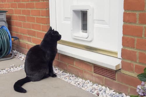 SureFlap Microchip Pet Door Connect with Wireless Hub - Image 6