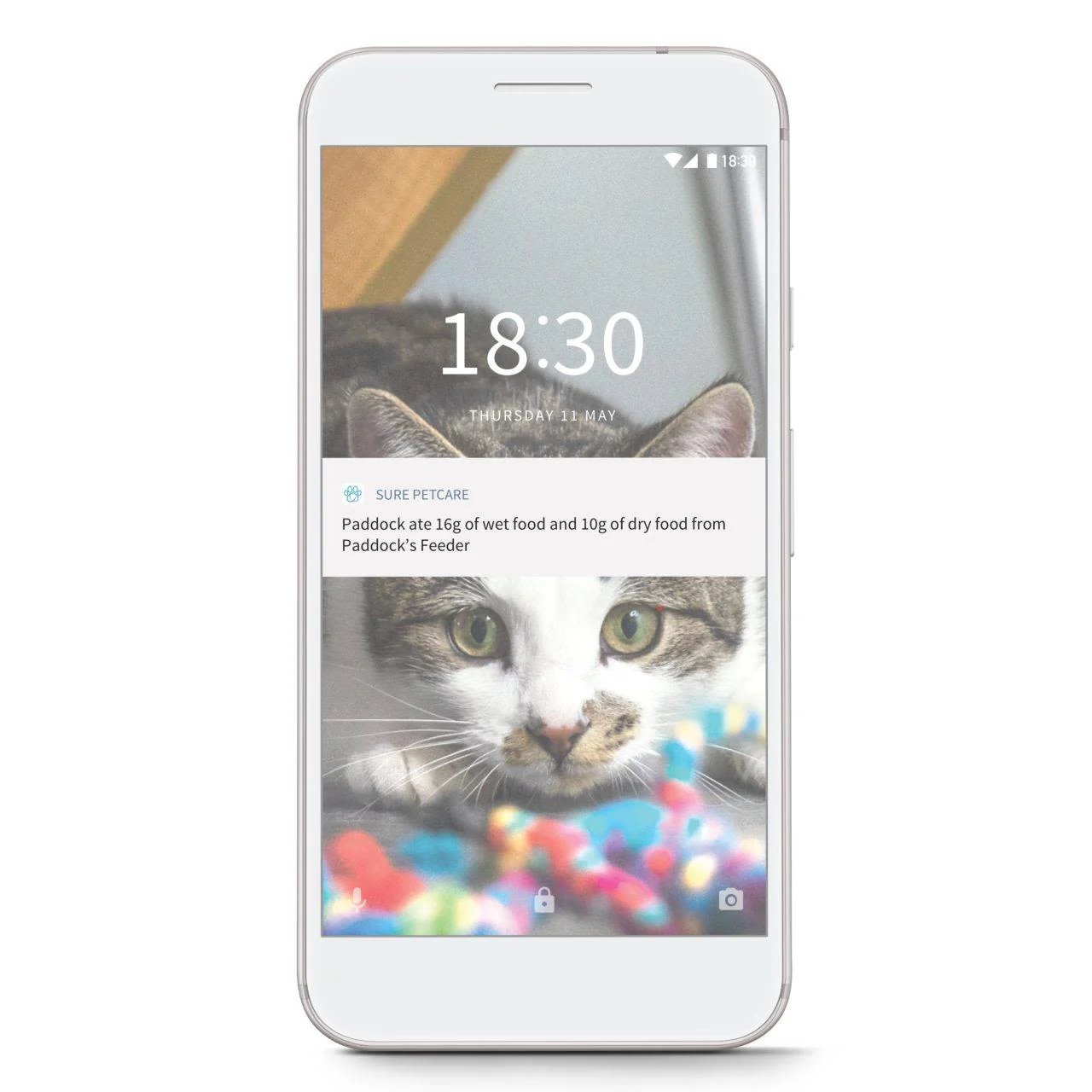 SureFeed Connect Microchip Pet Feeder - Image 9