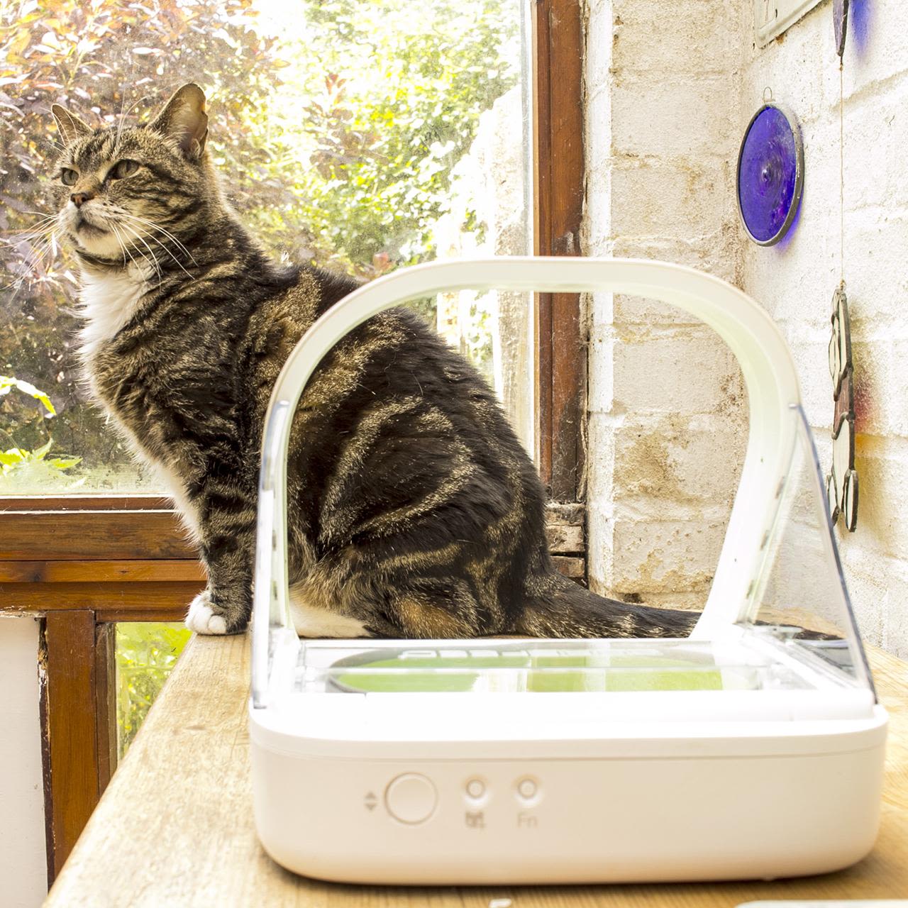 SureFeed Microchip Pet Feeder Bowl - Image 5