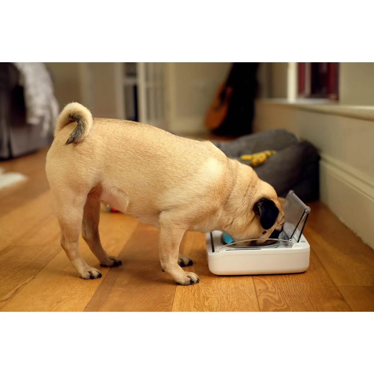 SureFlap SureFeed Sealed Pet Bowl - Image 5