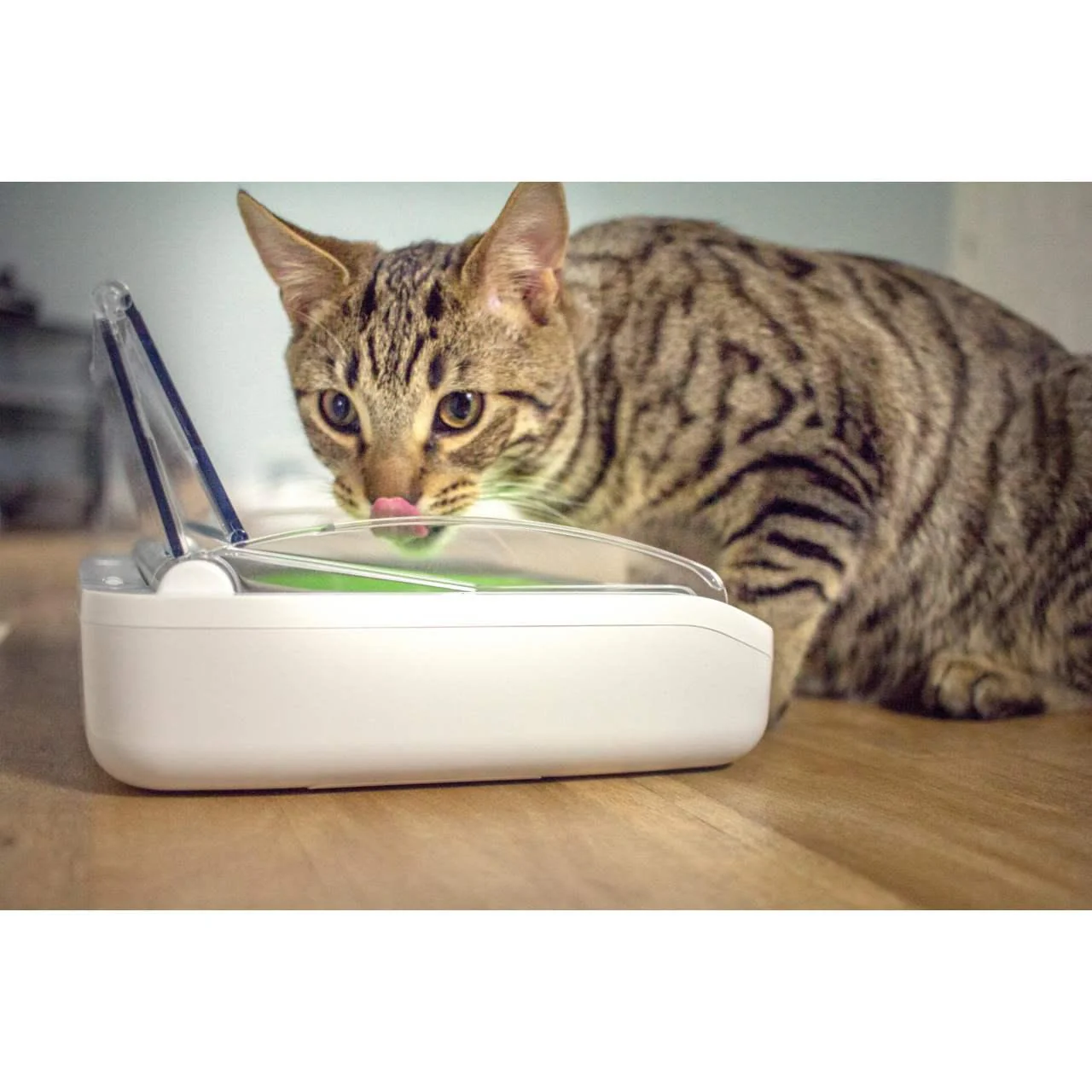 SureFlap SureFeed Sealed Pet Bowl - Image 6