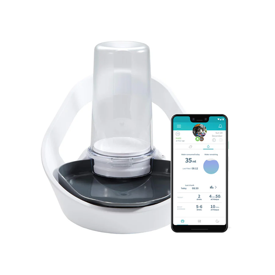 SurePet Felaqua Connect Pet Water Bowl