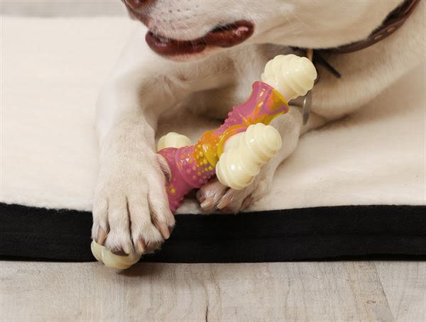 The Chew Factory Bacon & Maple Nylon Cross Dog Toy - Image 5