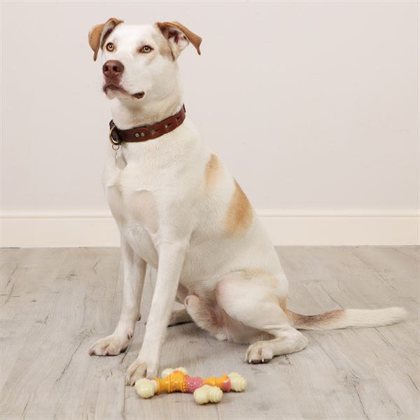 The Chew Factory Bacon & Maple Nylon Cross Dog Toy - Image 6
