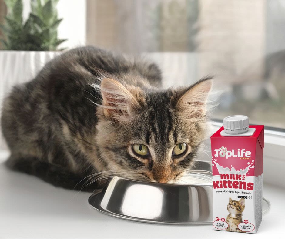 Toplife Formula Low Lactose Cows Milk for Kitten - Image 2