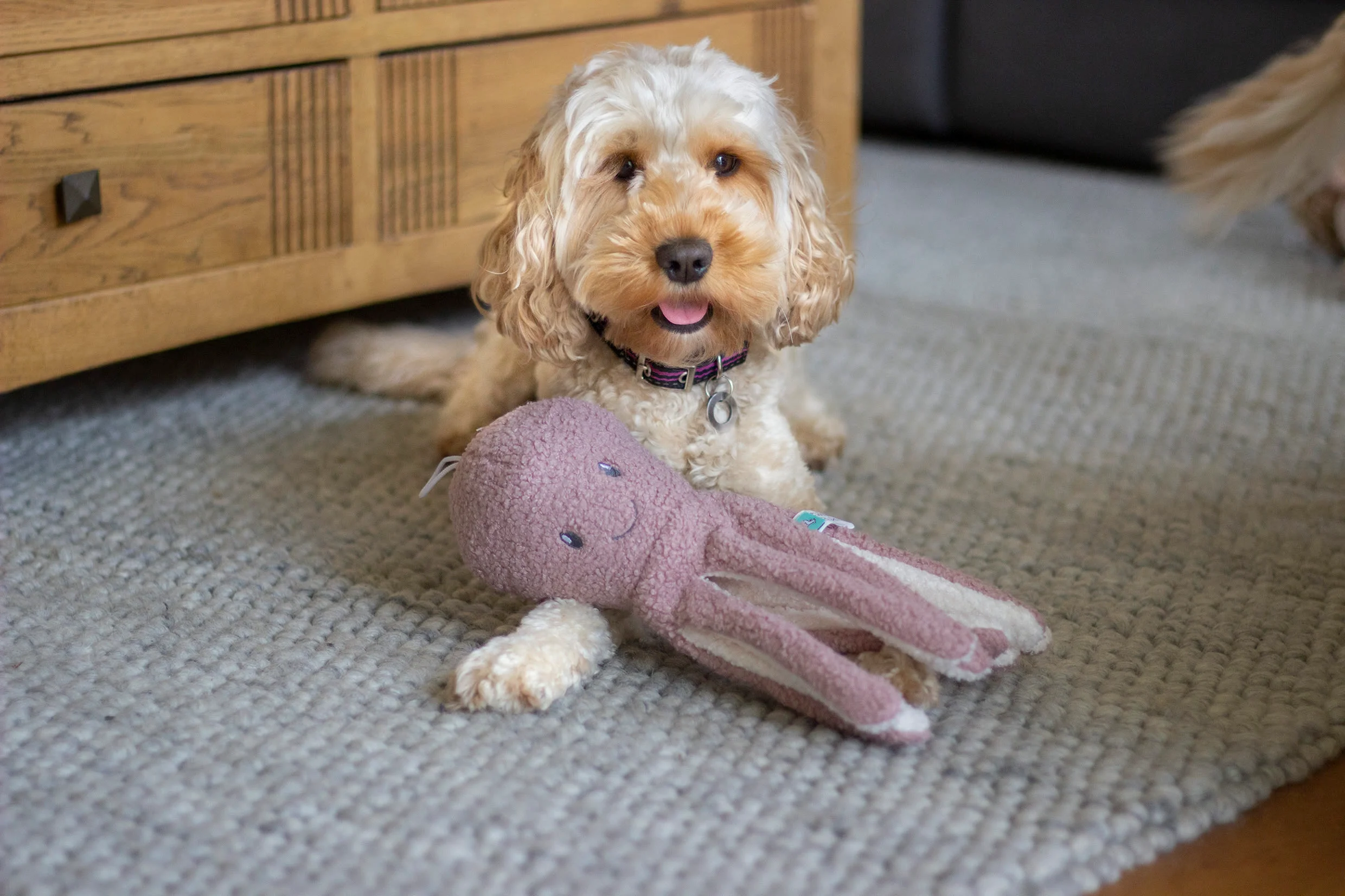 Tufflove Octopus Squeaker Dog Toy - Image 5